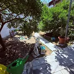 Albi * 베라트