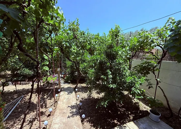 Διαμέρισμα Albi *