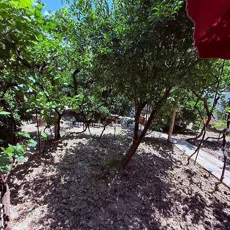 Apartamento Albi