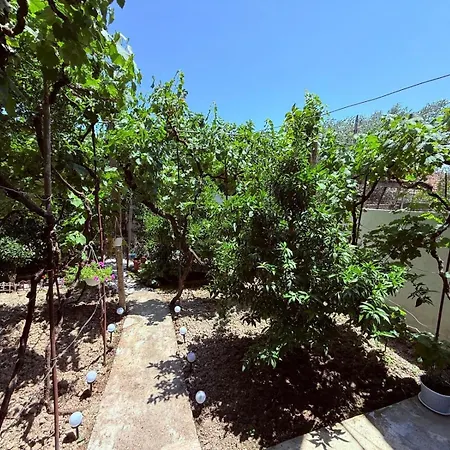 Apartamento Albi *